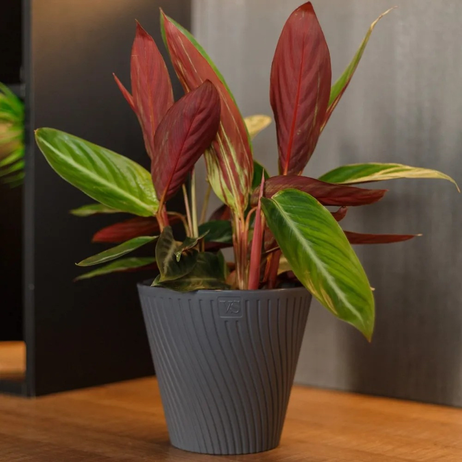 Кашпо пластм. "Луи" 1,2л d верха 140мм h129мм со вставкой Антрацит AML-1,2-12 ("VipSet") *1/30