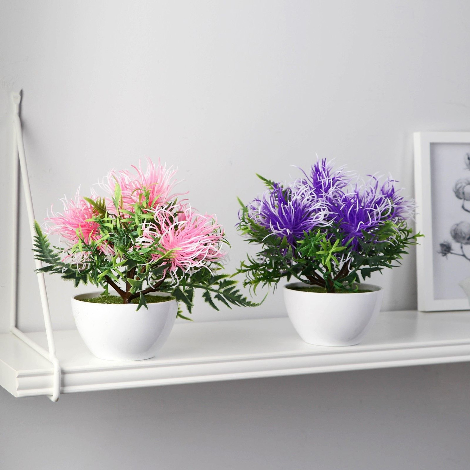 Бонсай в горшке "Тилландсия" 10х17 см, микс   9750540