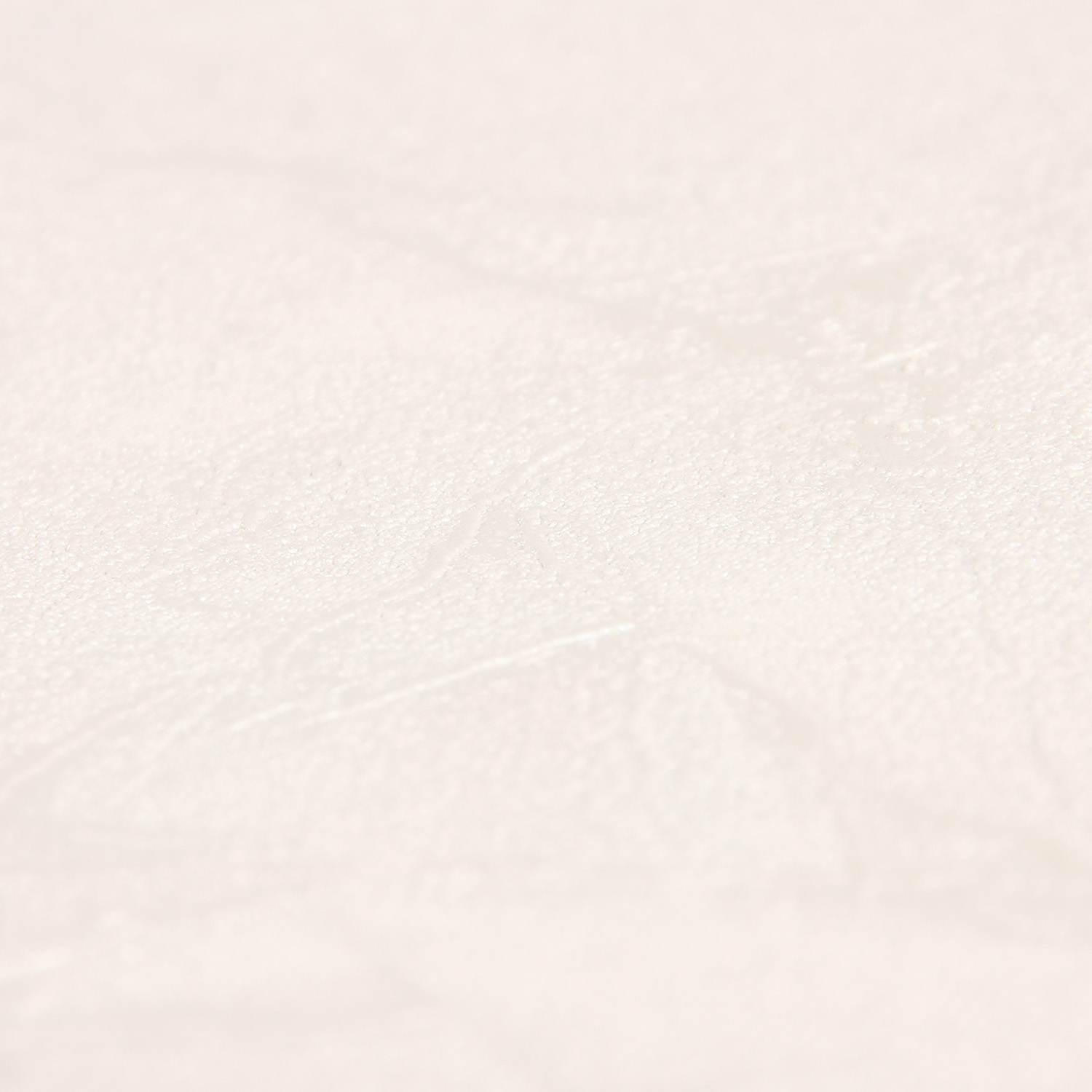 Обои флиз "Палитра" 10 ВВ ГТ PL72010-12 1,06*10м *1/6