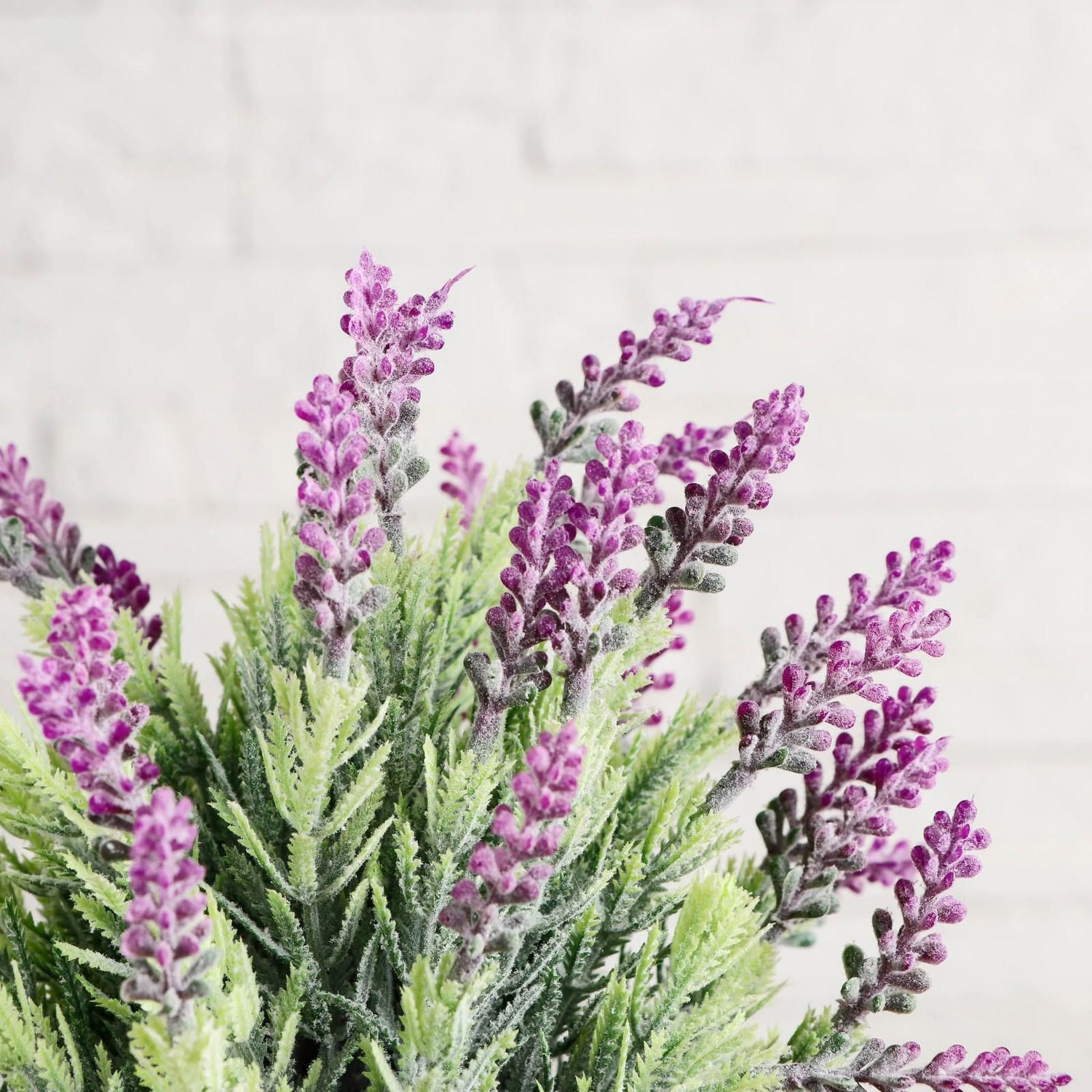 Бонсай в горшке "Сантолина" 10х22 см, микс   5201998