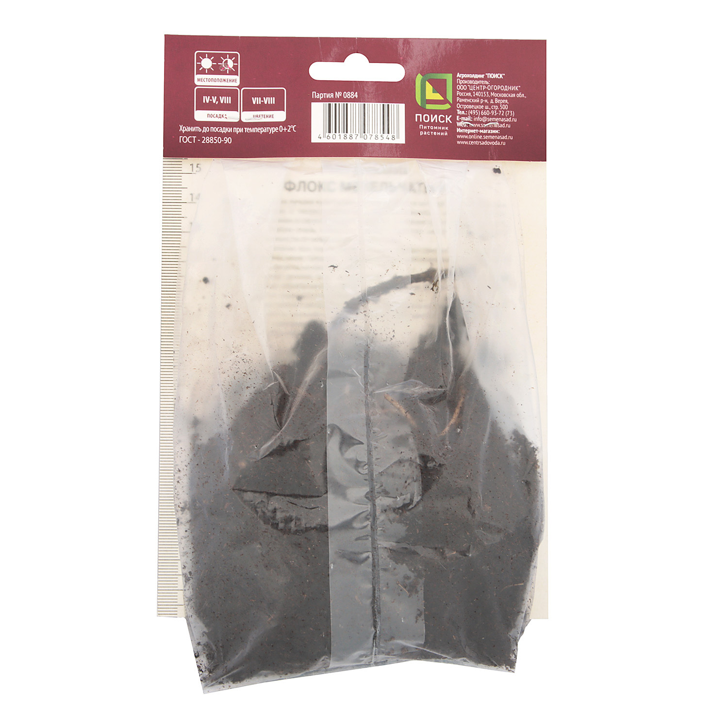 Флокс метельчатый Брайт Айз 1шт