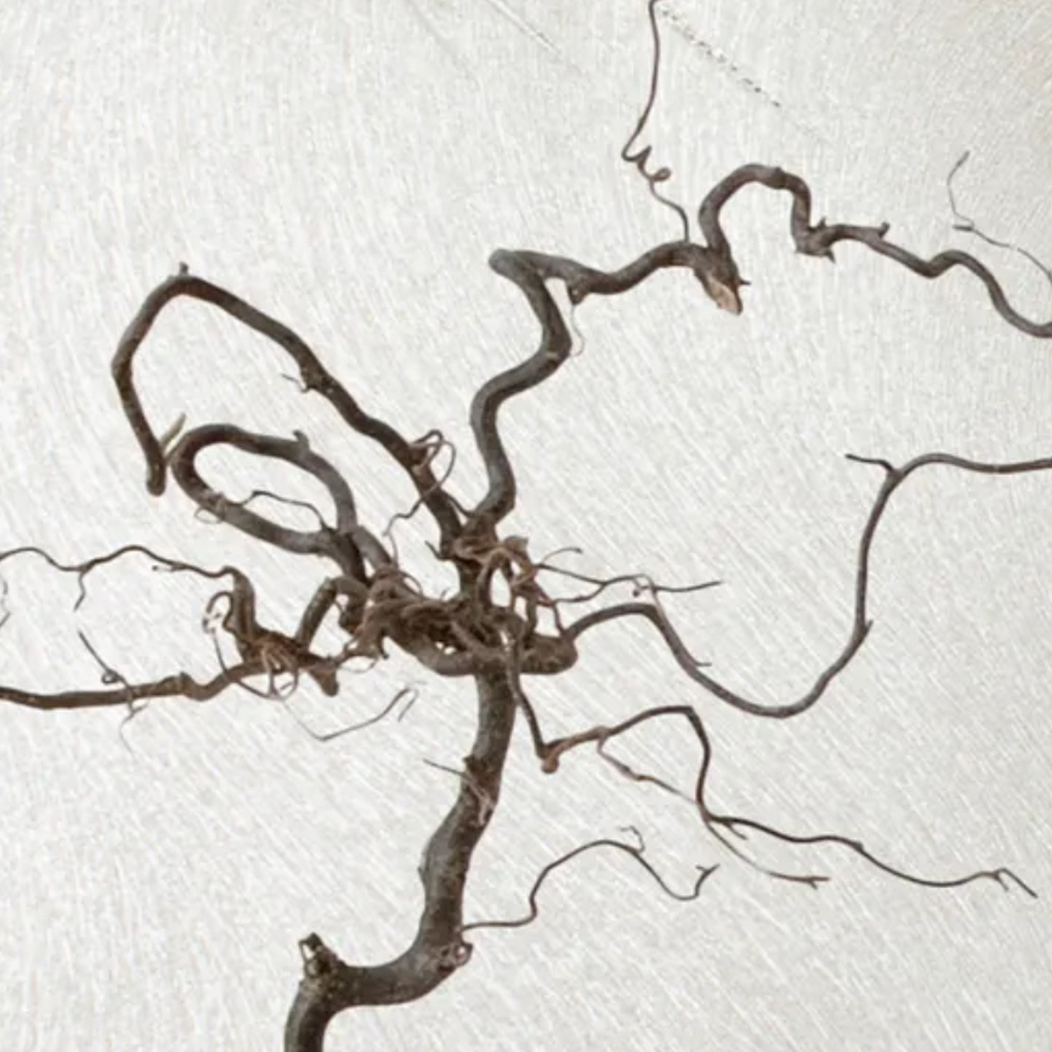 Обои  флиз VS Ateliero Trinity 286706 1.06*10м *6