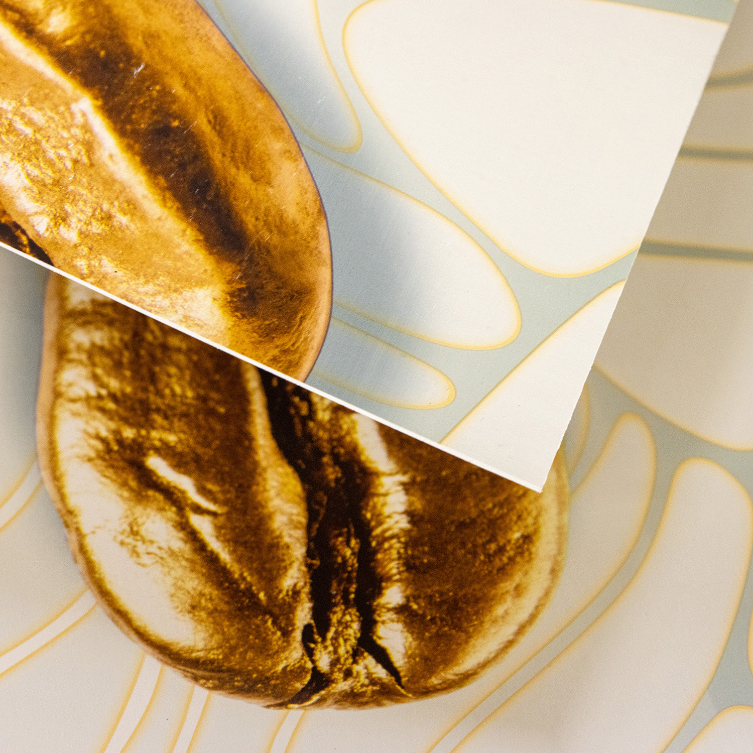 Панель АБС "Золотой кофе" (фартук) (3,0*0,6м) *1