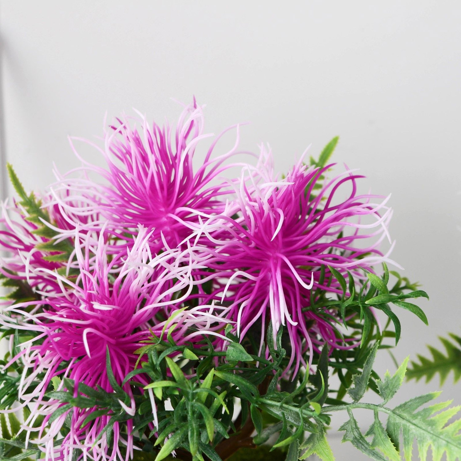 Бонсай в горшке "Тилландсия" 10х17 см, микс   9750540