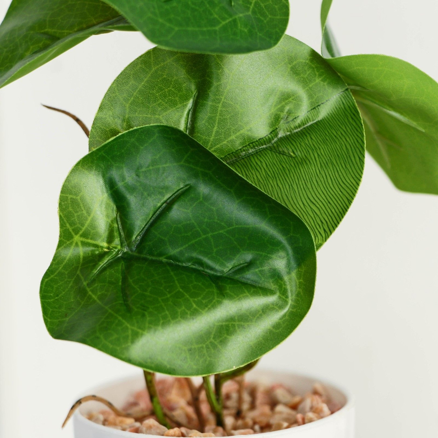 Бонсай в горшке «Антуриум галант» 7,5х20 см 9789752