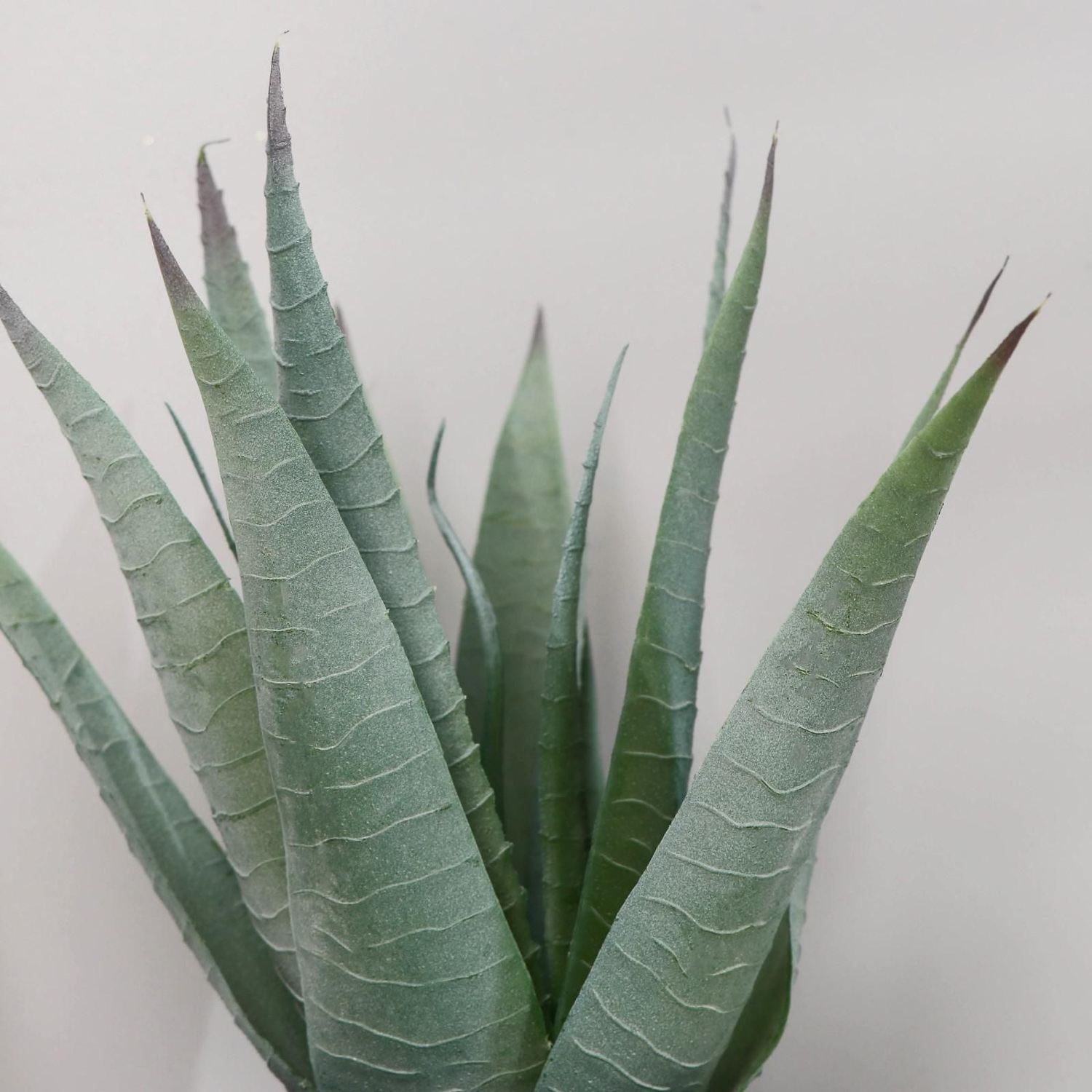 Бонсай "Алоэ вера" 10х25 см   7081293