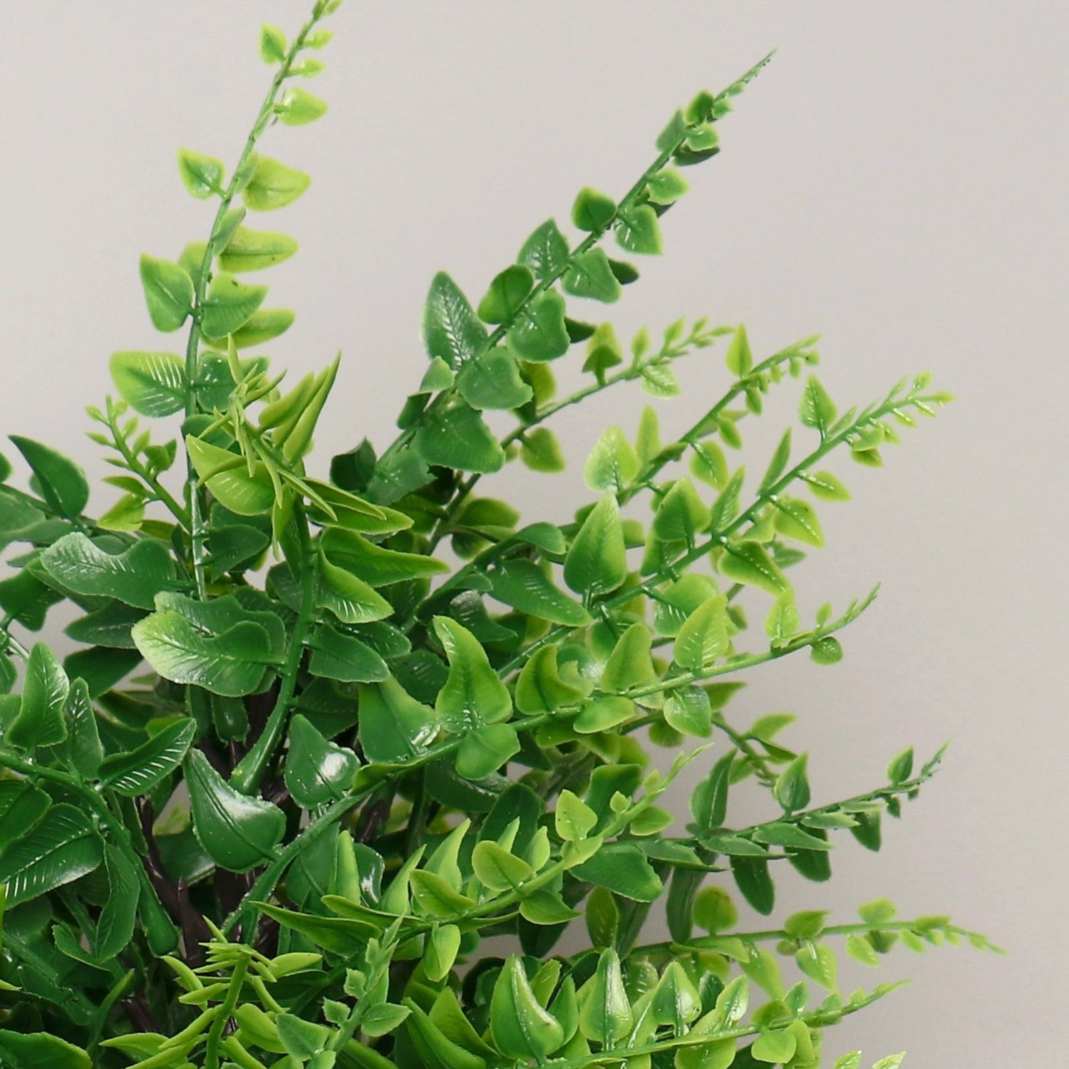 Бонсай "Нефролепсис" 9х30 см  7081299