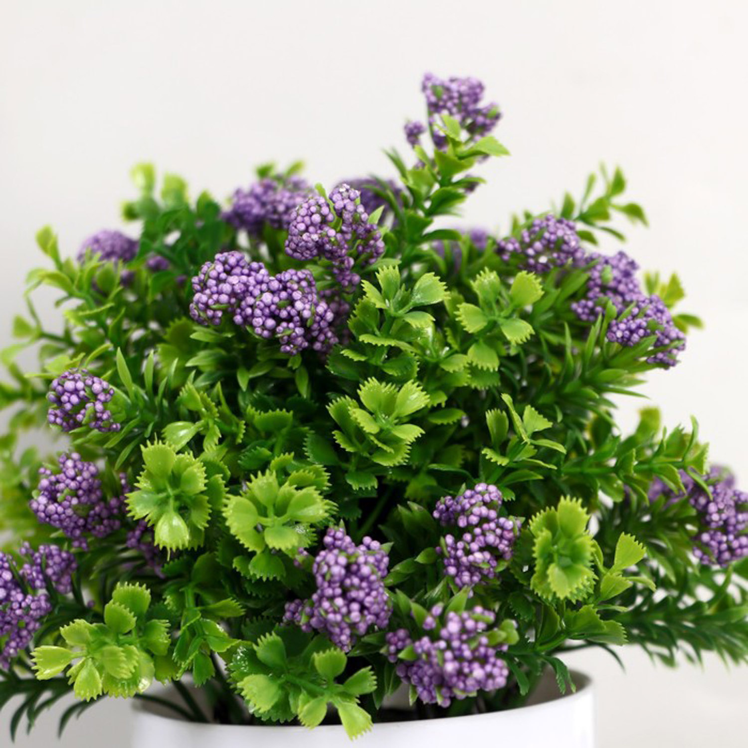 Бонсай в горшочке "Озотамнус в листве" 8*16 см, микс 4555648