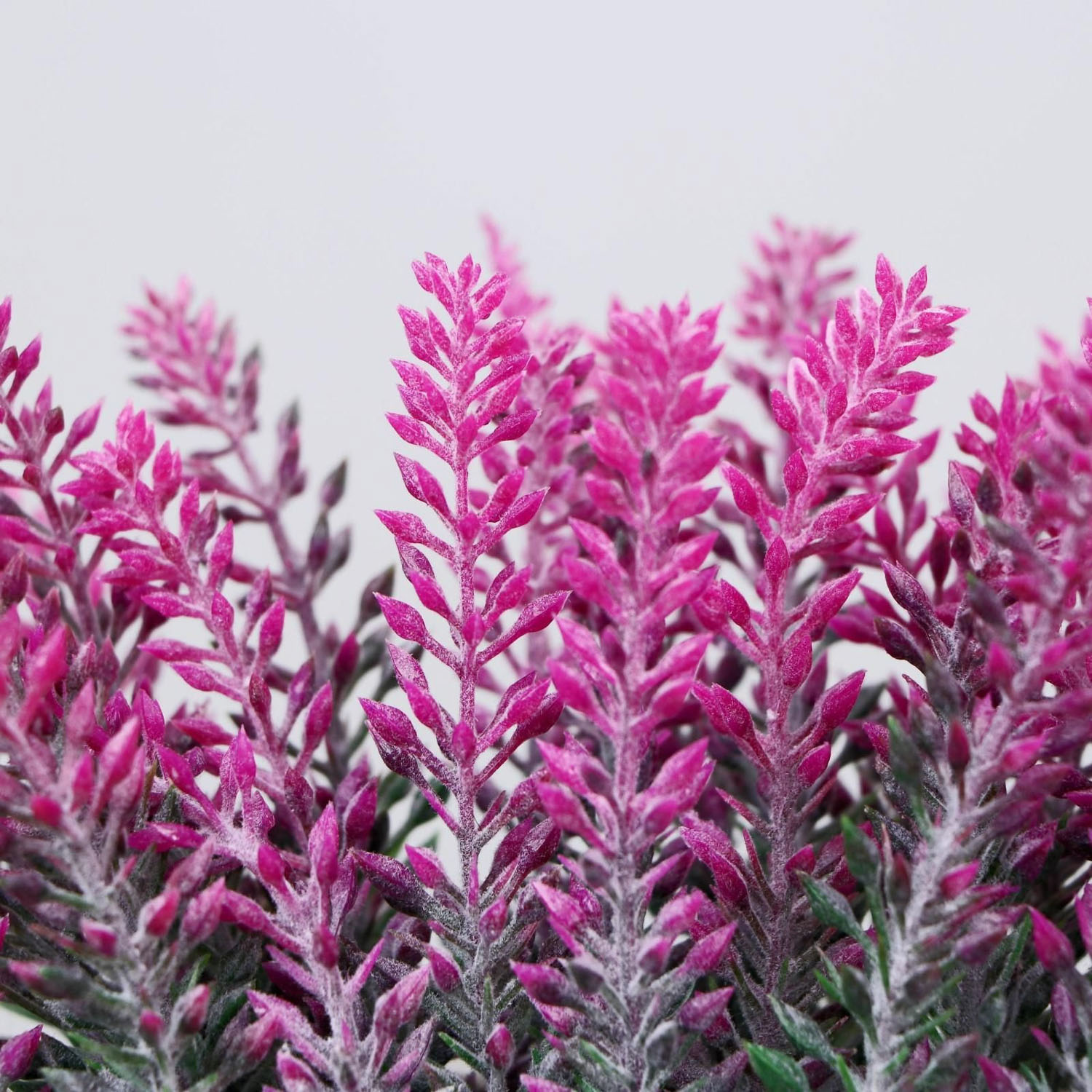 Бонсай "Лаванда в ящичке" 8х16,5х15 см микс   4736462