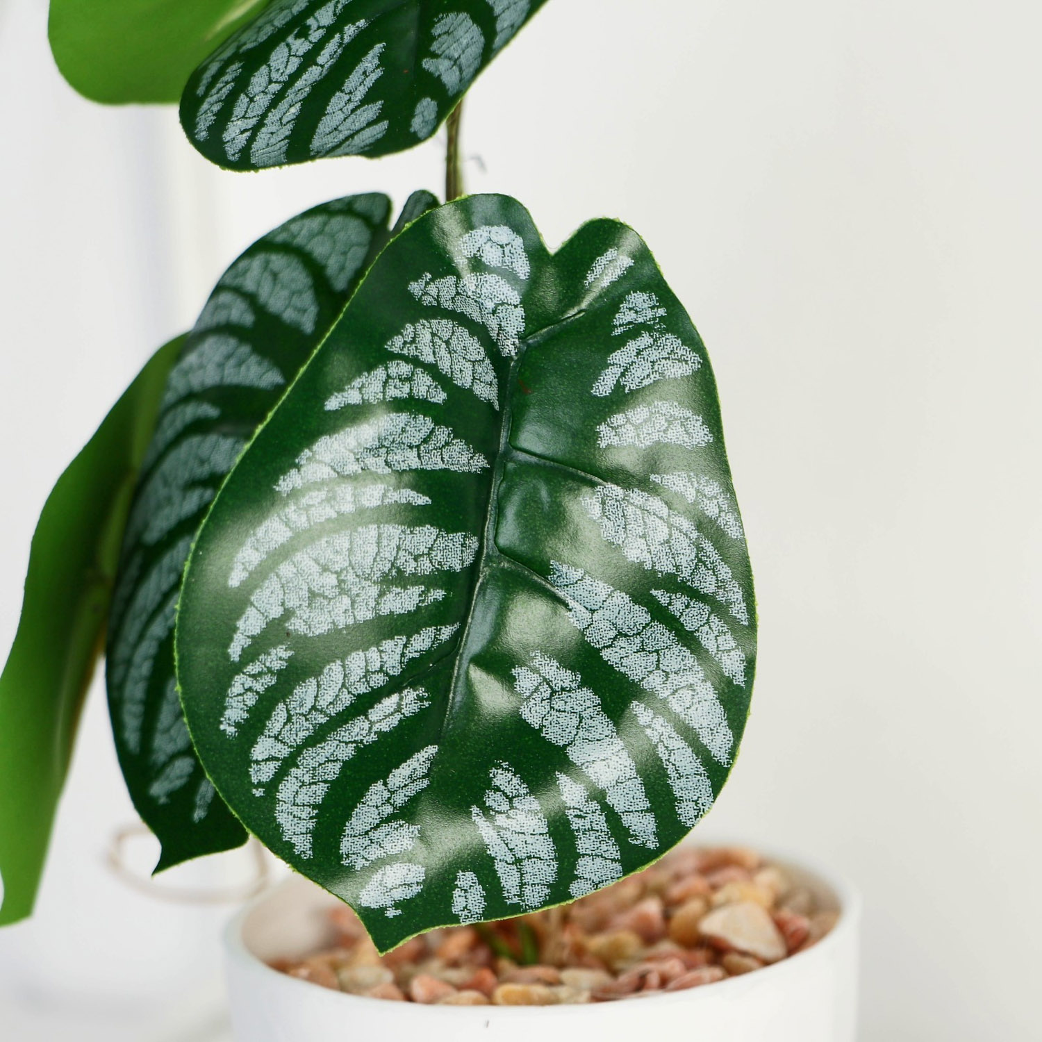 Бонсай в горшке «Филодендрон» 7,5х20 см 9789751