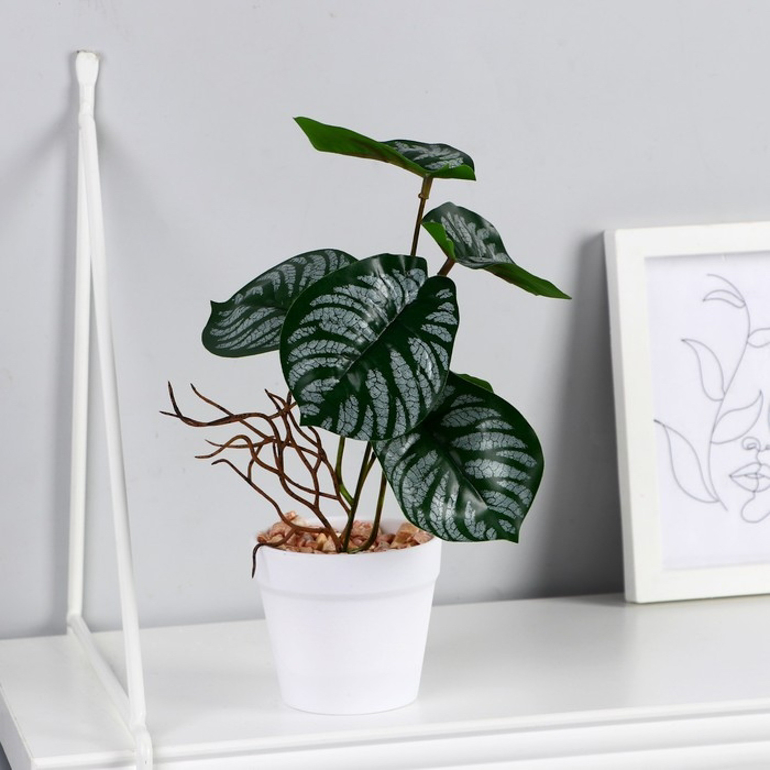 Бонсай в горшке «Филодендрон» 7,5х20 см 9789751