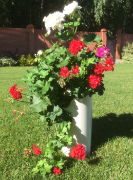 Кашпо пластм.  "Le cone" высокое 18,5л(вст.10л),d верх.28мм,h450мм Кремов 1100-1 "Tek.A.Tek" *1