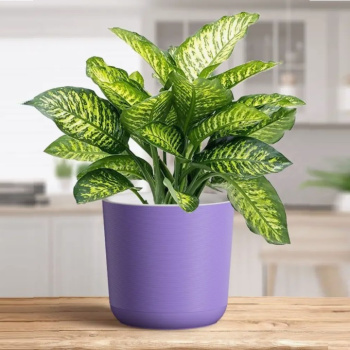 Кашпо пластм. "Лион" 4.2л d верха 190мм h175мм со вставкой Лаванда ЛИ19-21 *1/8