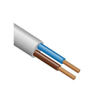 Провод ПВС 2*2,5 (10м) ГОСТ *10