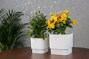 Кашпо пластм. "Бостон" 2,7л 153х153мм h147мм со вставкой Белый АМБ-2,7-01 ("VipSet") *1/10