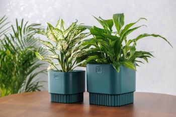 Кашпо пластм. "Бостон" 5,5л 192х192мм h185мм со вставкой Изумруд АМБ-5,5-20 ("VipSet") *1/6