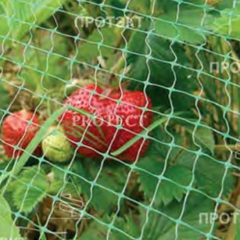 Сетка Садовая для защиты от Птиц пласт. шир.2м дл. 5м яч.6х6мм Хаки У-6/2/5 (Протэкт) *6/336